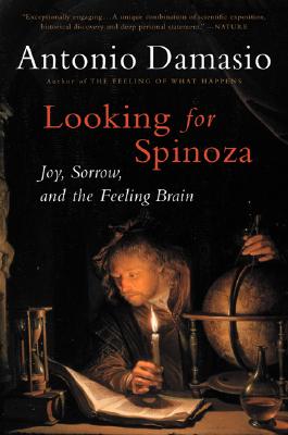 Looking for Spinoza