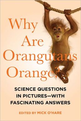Why Are Orangutans Orange