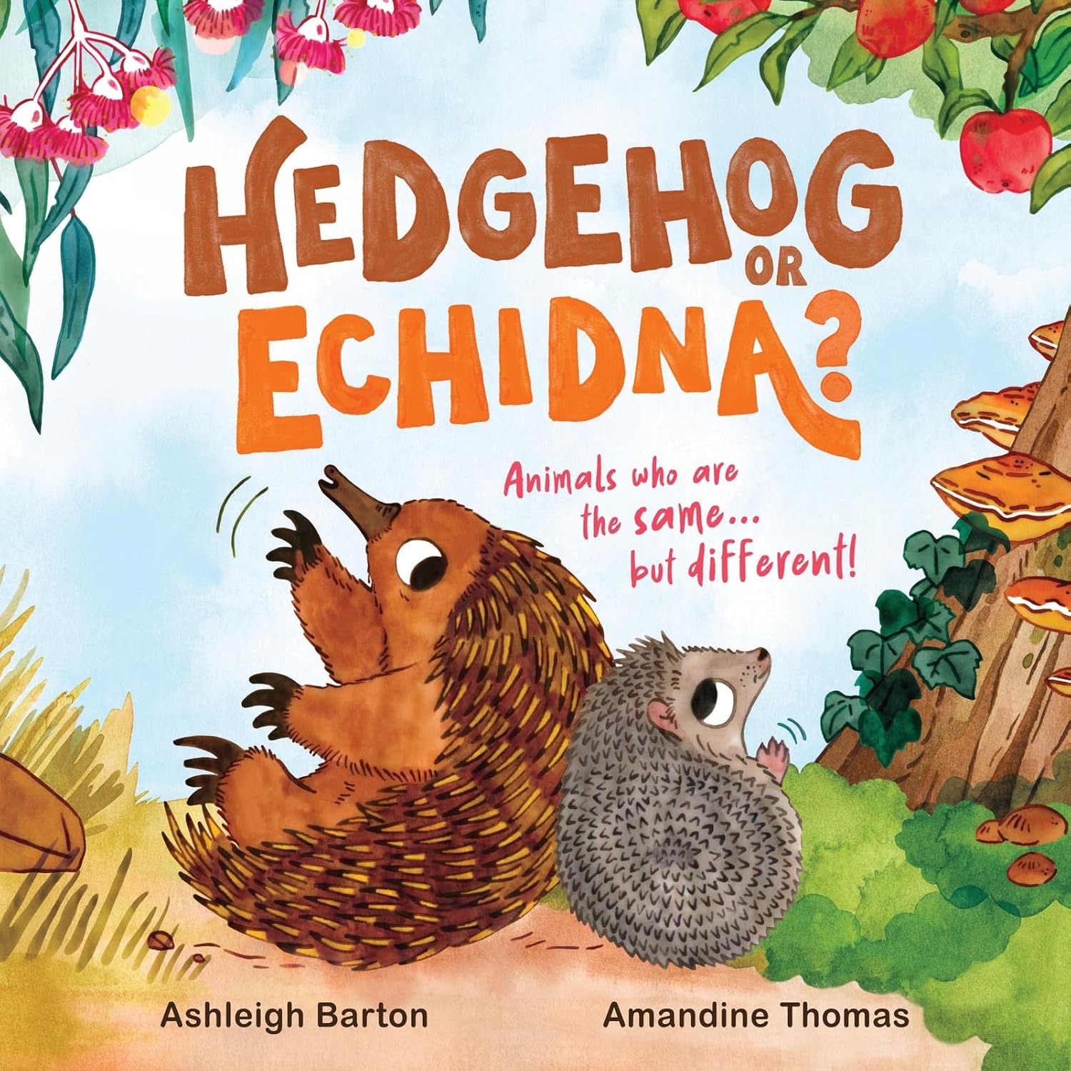 Hedgehog or Echidna