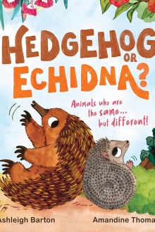 Hedgehog or Echidna
