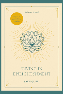 Living in Enlightenment