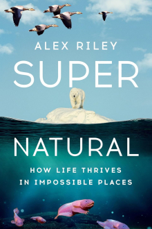 Super Natural