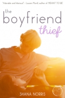 The Boyfriend Thief